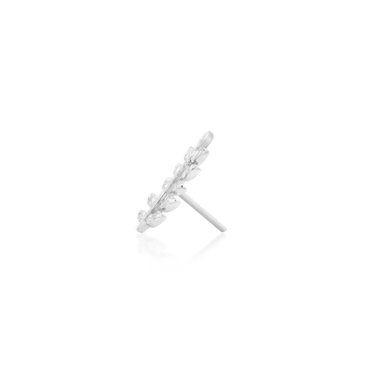 Willow - Misc image 11