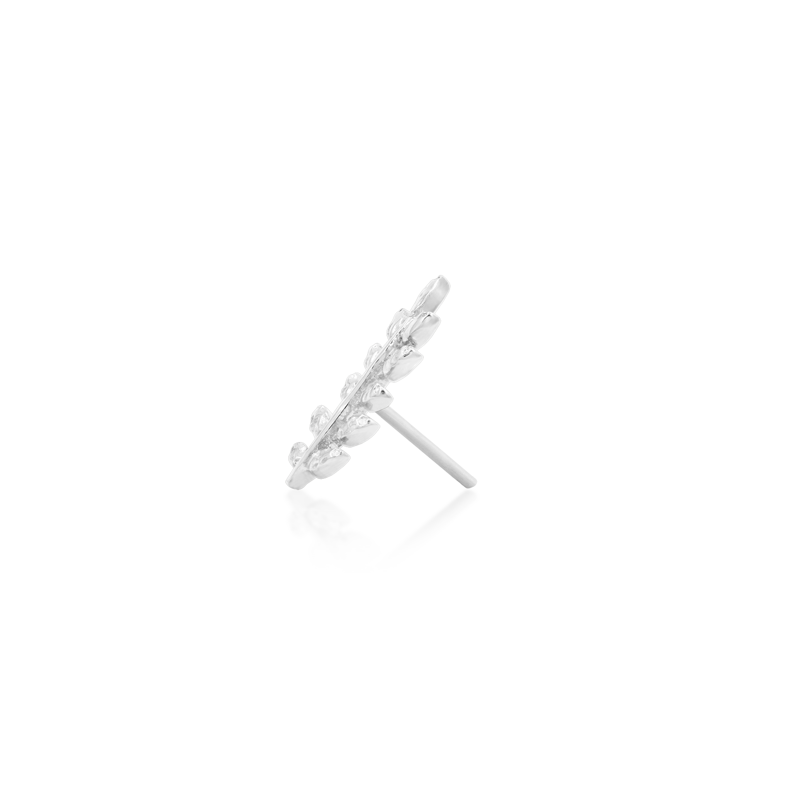 Willow - Misc image 11
