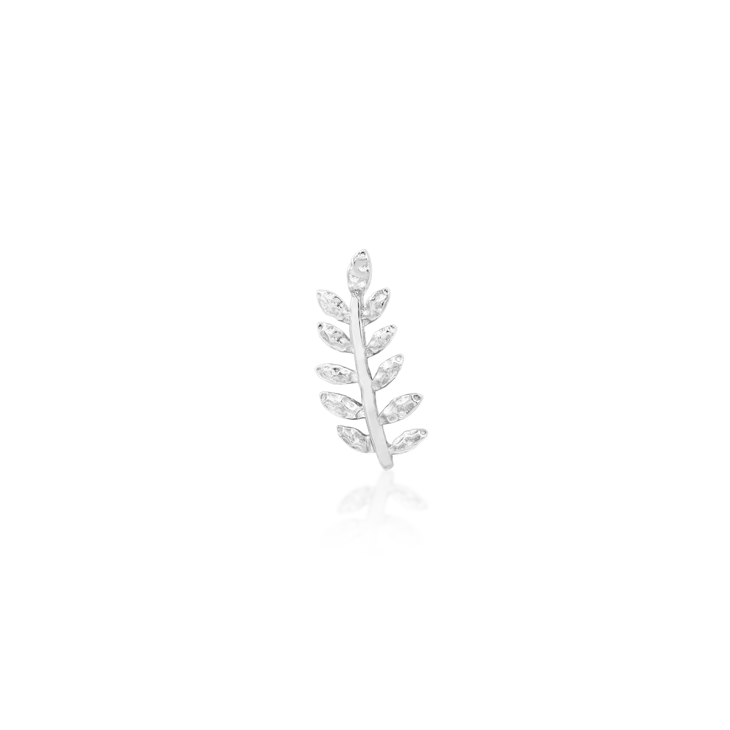 Willow - Misc image 22