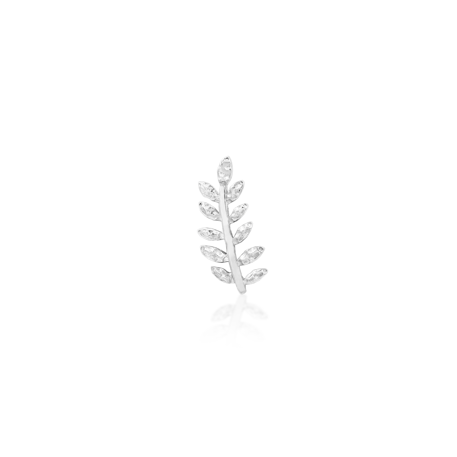 Willow - Misc image 22