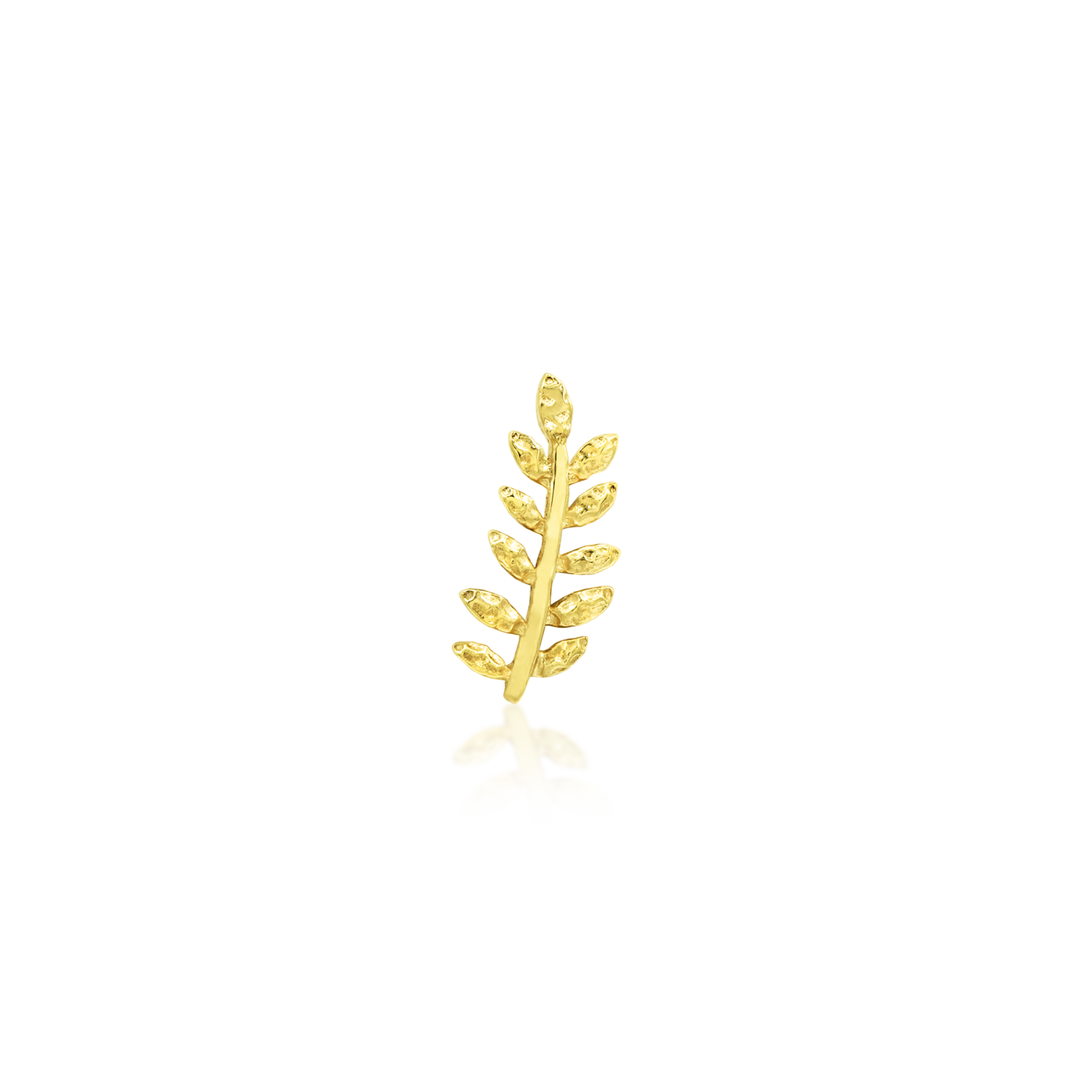 Willow - Misc image 1