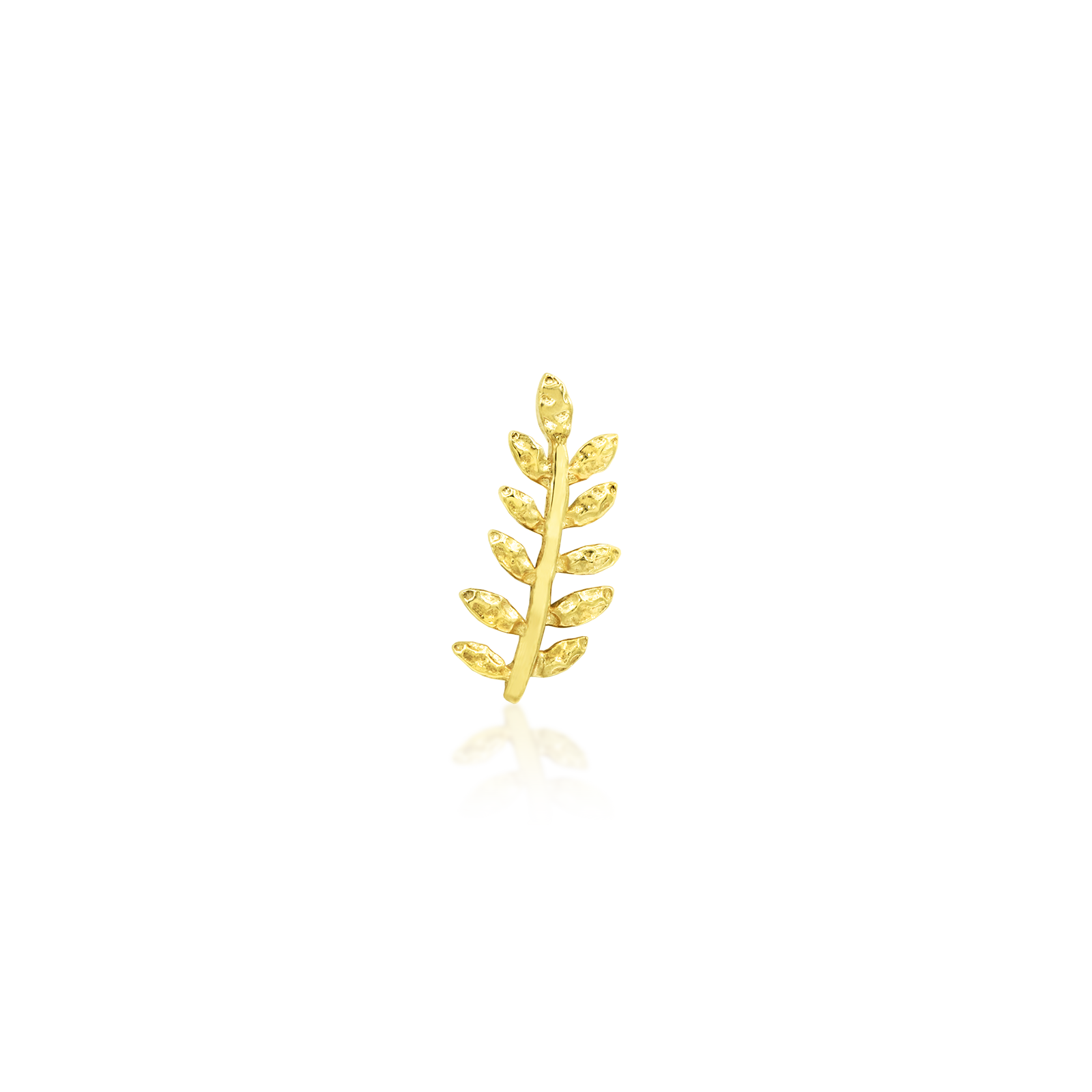 Willow - Misc image 1