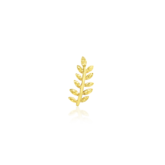 Willow - Misc image 1