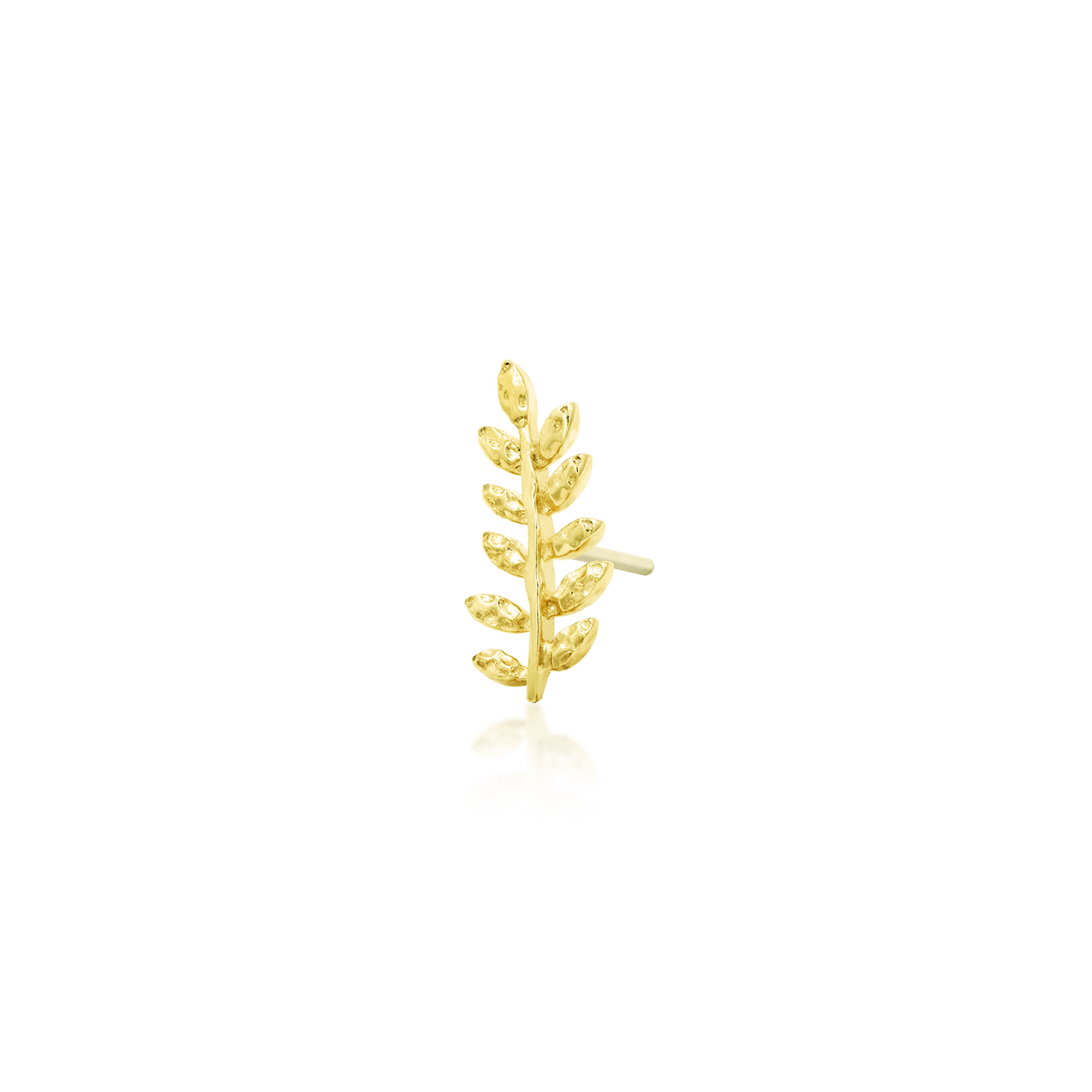 Willow - Misc image 7