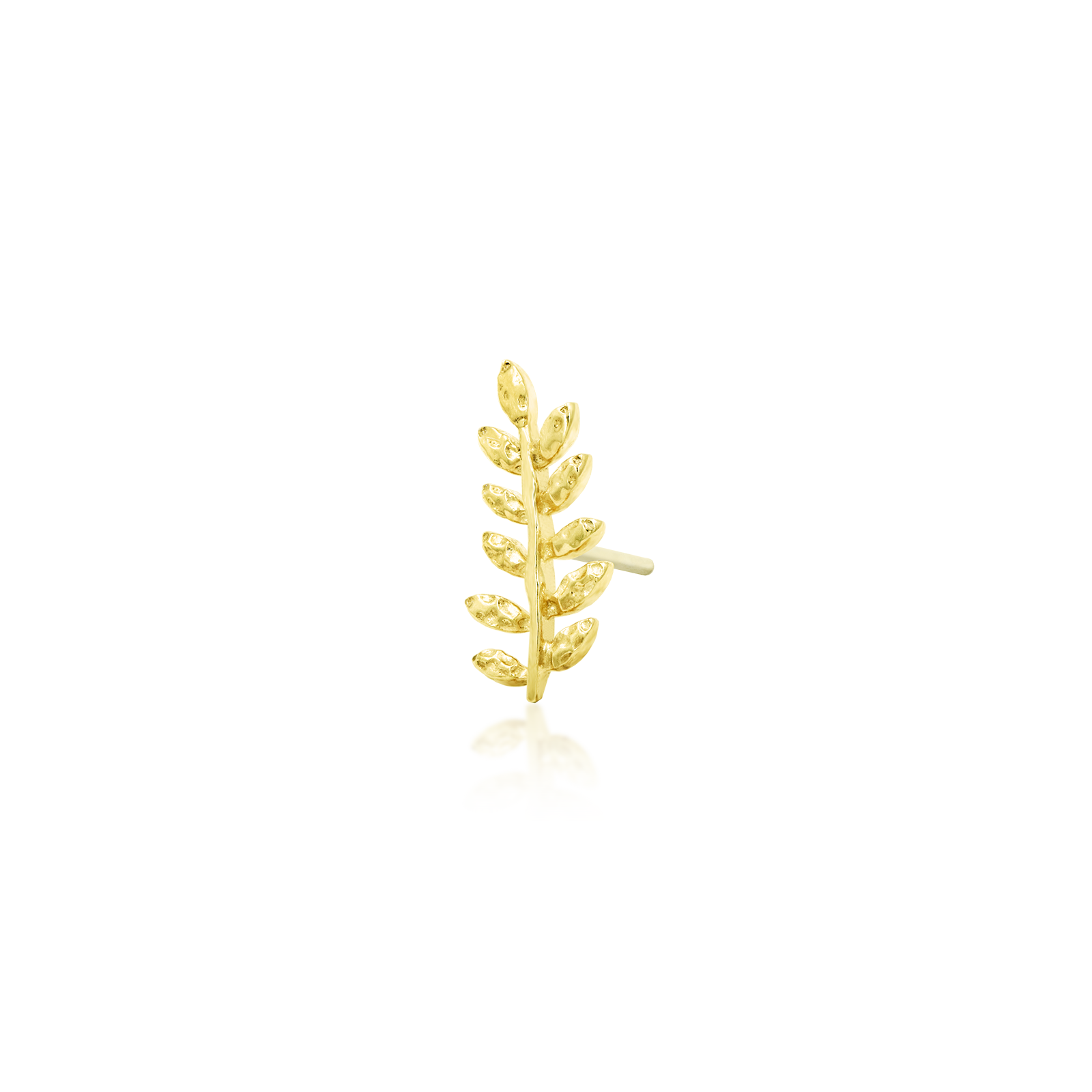 Willow - Misc image 7