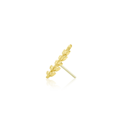 Willow - Misc image 8