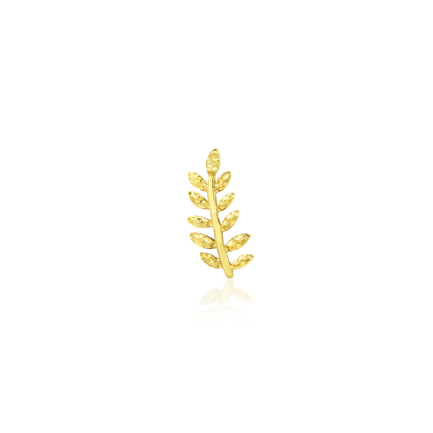 Willow - Misc image 19