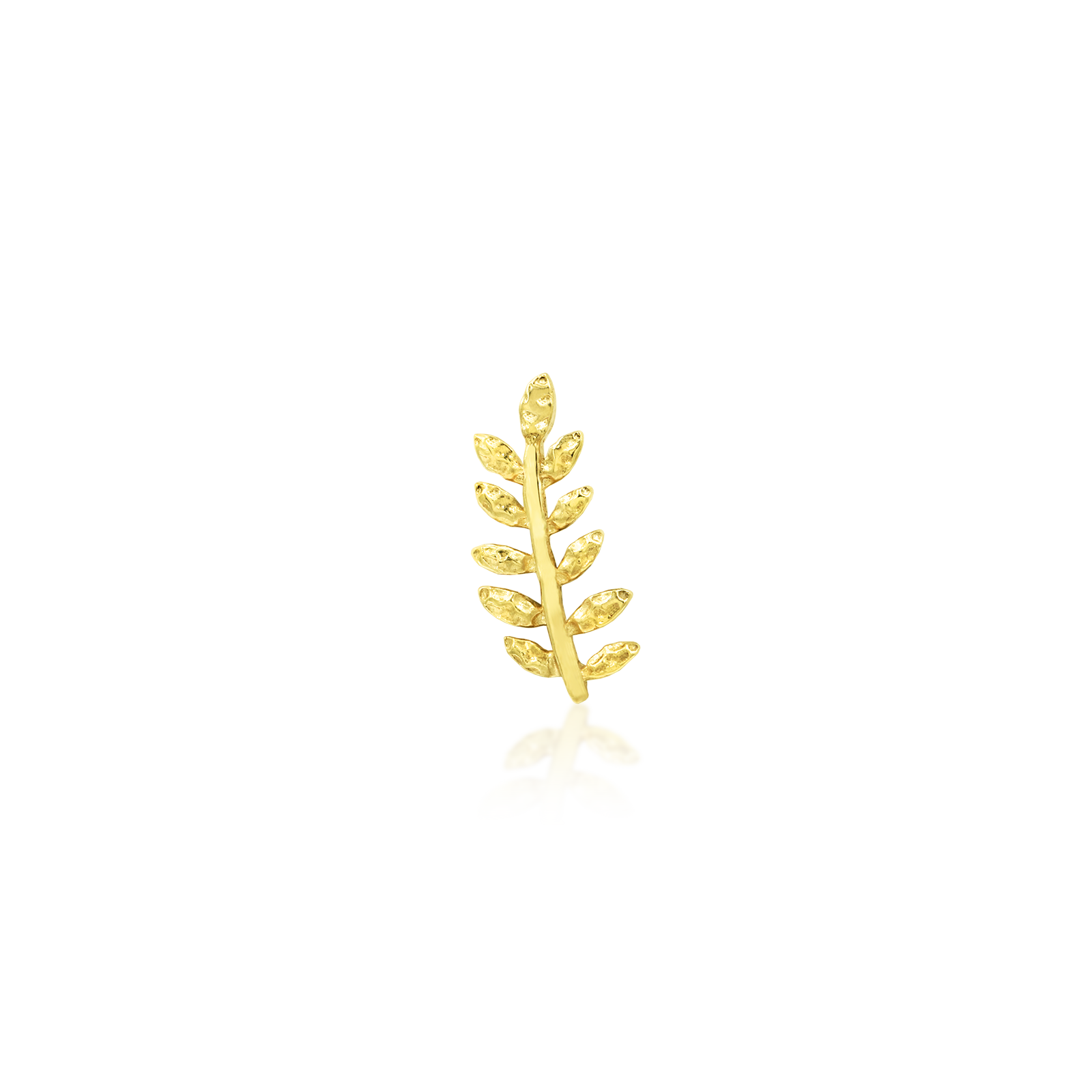 Willow - Misc image 19