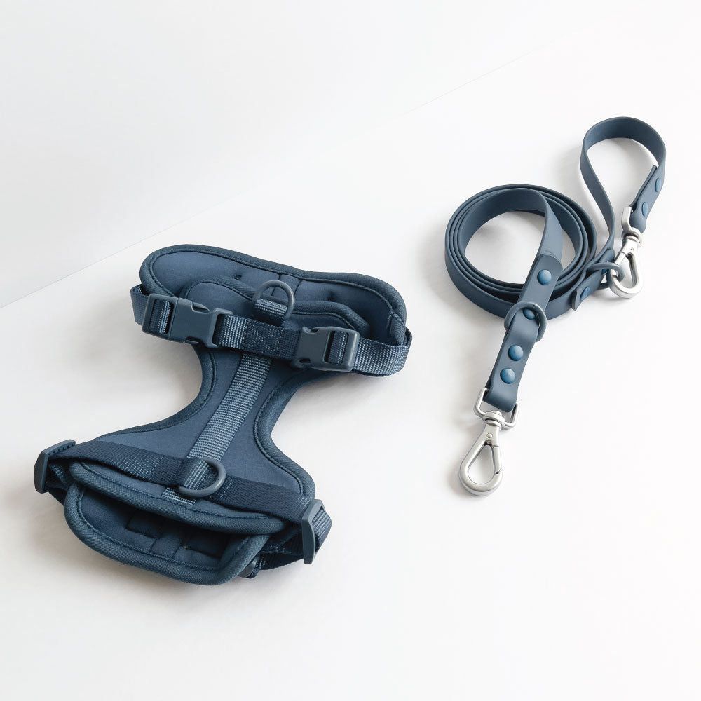Navy Blue Harness and Leash Set - Furniture image 1