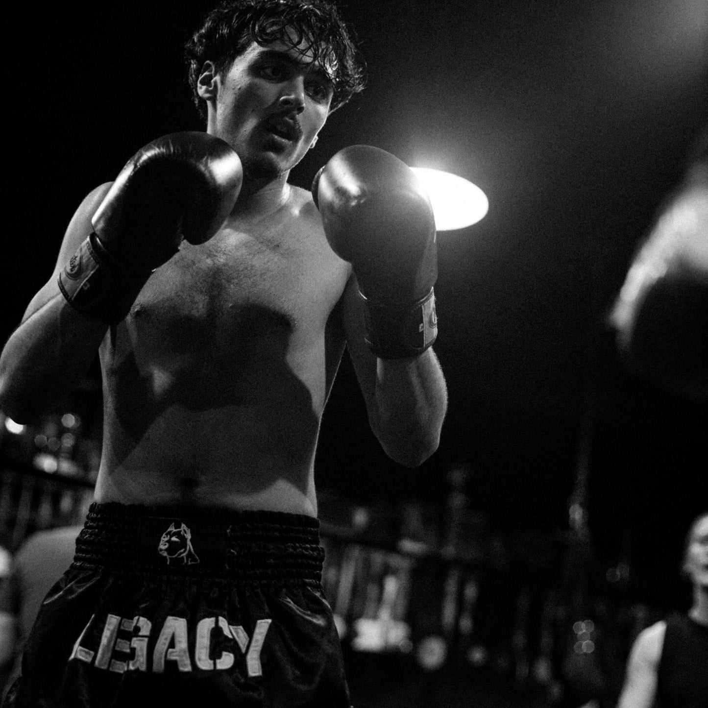 OFFICIAL TEAM LEGACY MUAY THAI SHORTS - Jewelry image 5