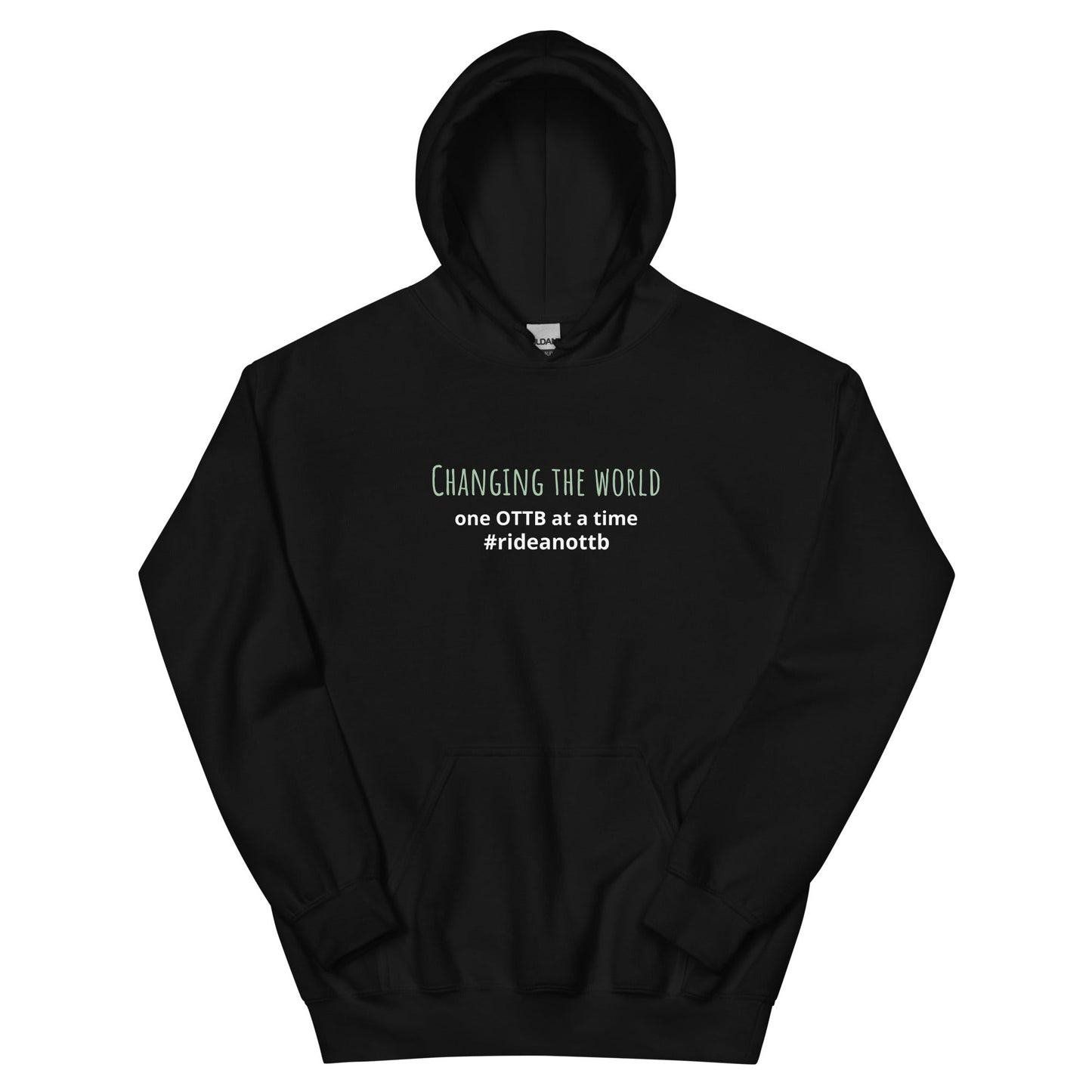"Changing The World One OTTB at a Time" Unisex Hoodie - Apparel image 1