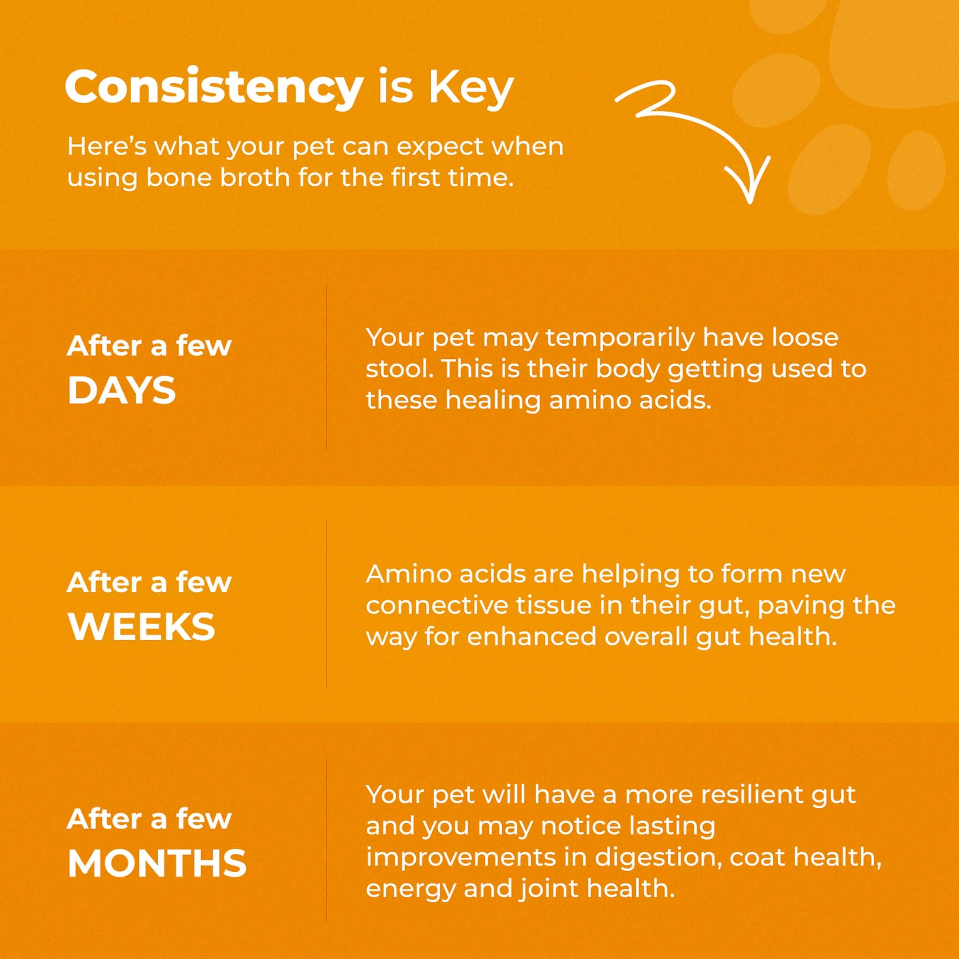 Bone Broth For Dogs & Cats - Misc image 8