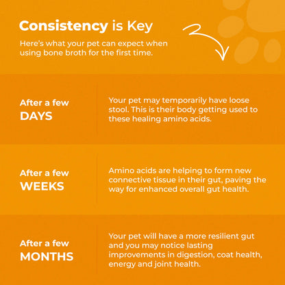 Bone Broth For Dogs & Cats - Misc image 8